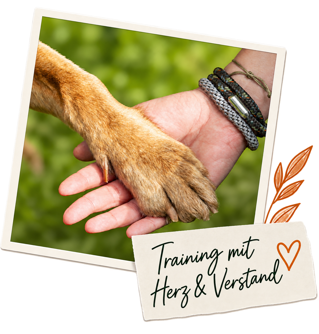 Hundetraining mit Herz und Verstand in Cuxhaven