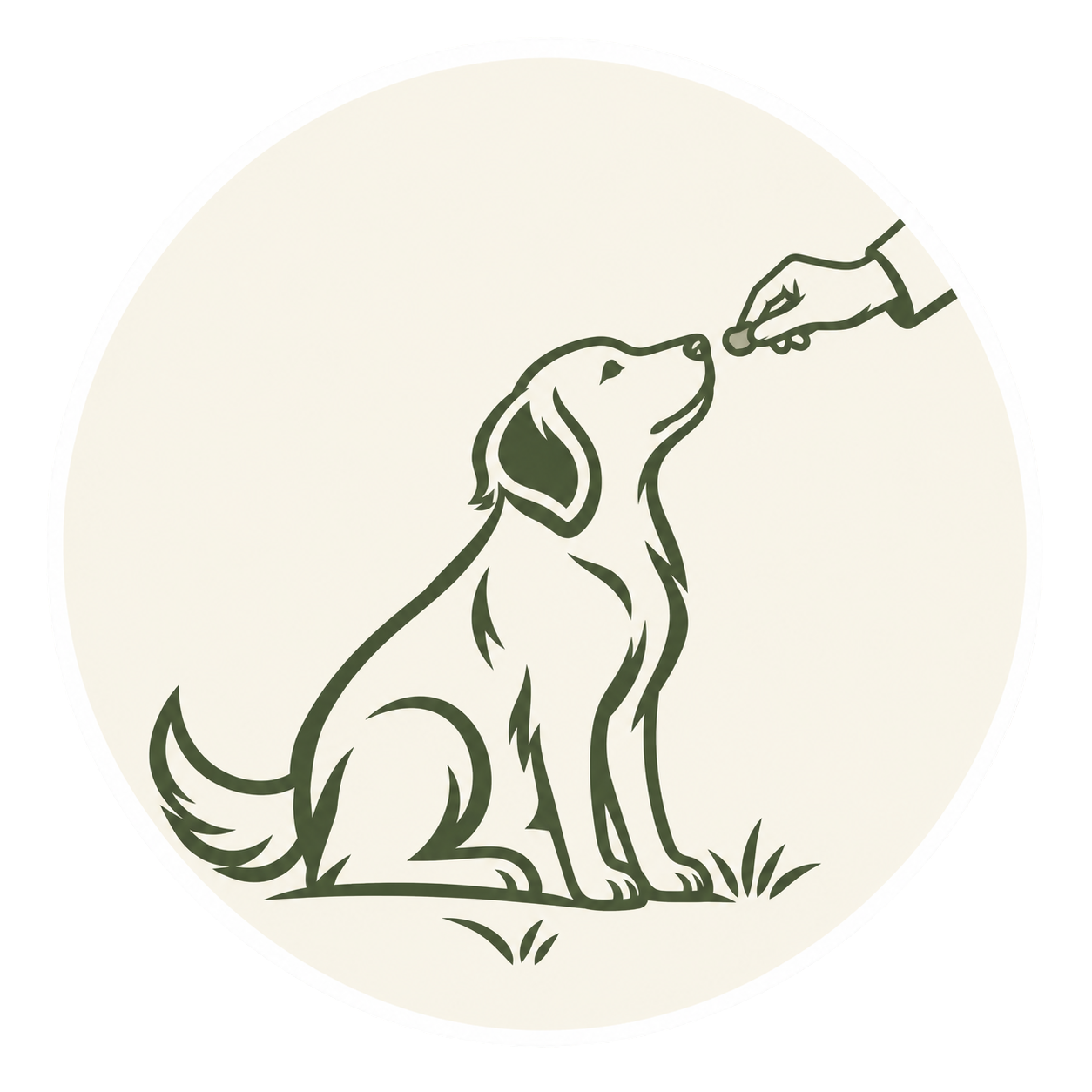 Icon Hundeschule Cuxhaven praxisnah